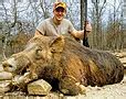 cheapest hog hunts in missouri